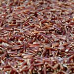 Riso rosso Thai con lenticchie, code di mazzancolle e olive nere (senza glutine)