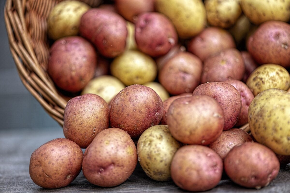 Bombe di patate senza glutine