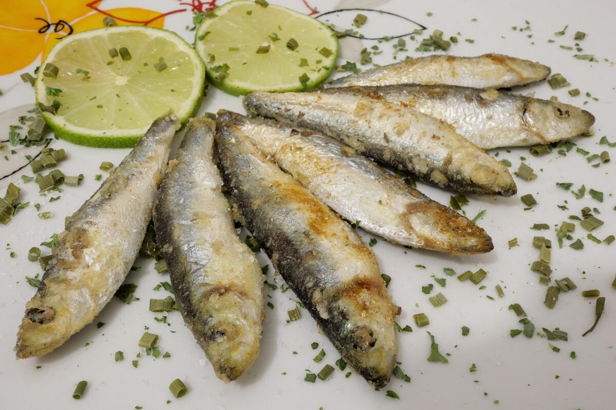 Tortino di sardine e patate al forno Tortino di sardine e patate al forno