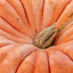 Risotto alla zucca con petali croccanti di guanciale (senza glutine)