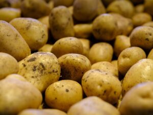 Patate in tecia
