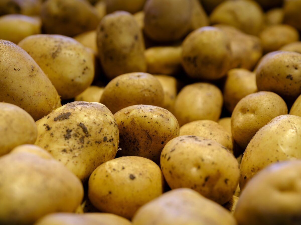Patate in tecia Patate in tecia
